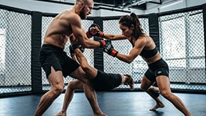 martial arts training greenville sc